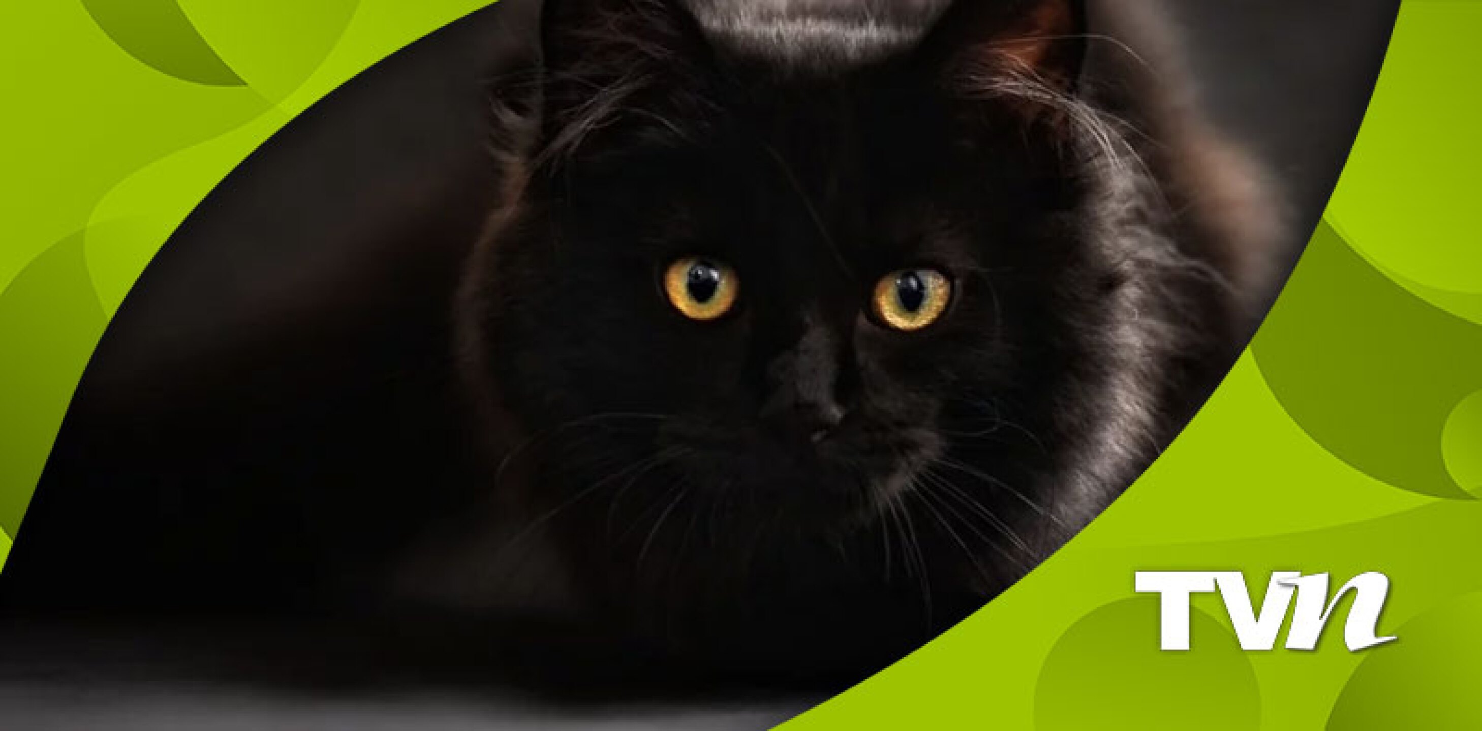 Pixabay / Imagen referencial