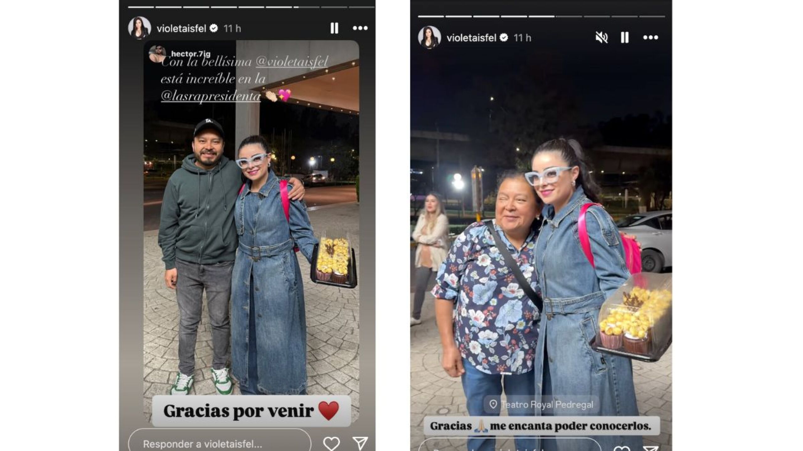 Violeta Isfel se lanza contra Gustavo Adolfo Infante