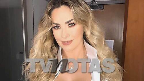 Subastan cuadro de Aracely Arámbula 'a lo Titanic' y nadie puja por ella