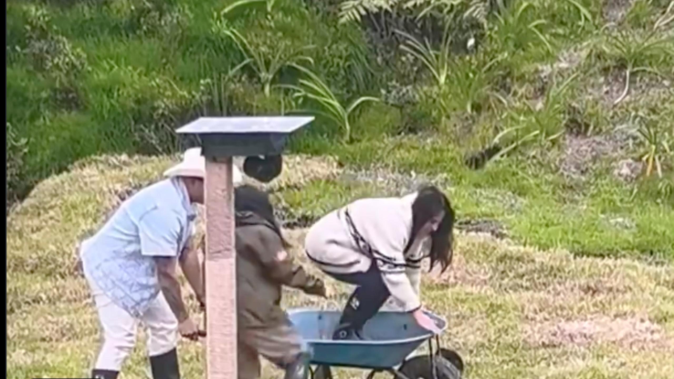 ¿Qué pasó con Bea, Fabiola Campomanes y Jawy en La granja VIP?
