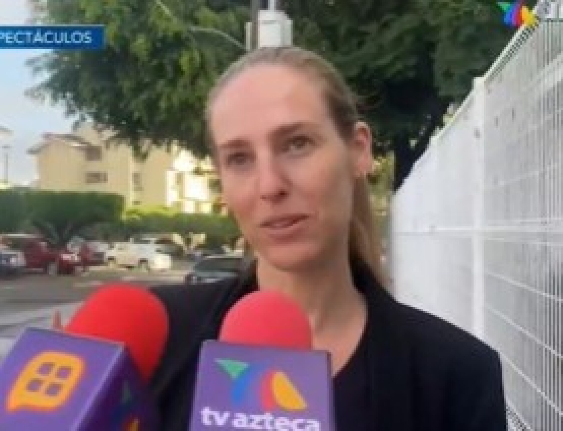 audiencia Sarah Nichols pascacio 'N'