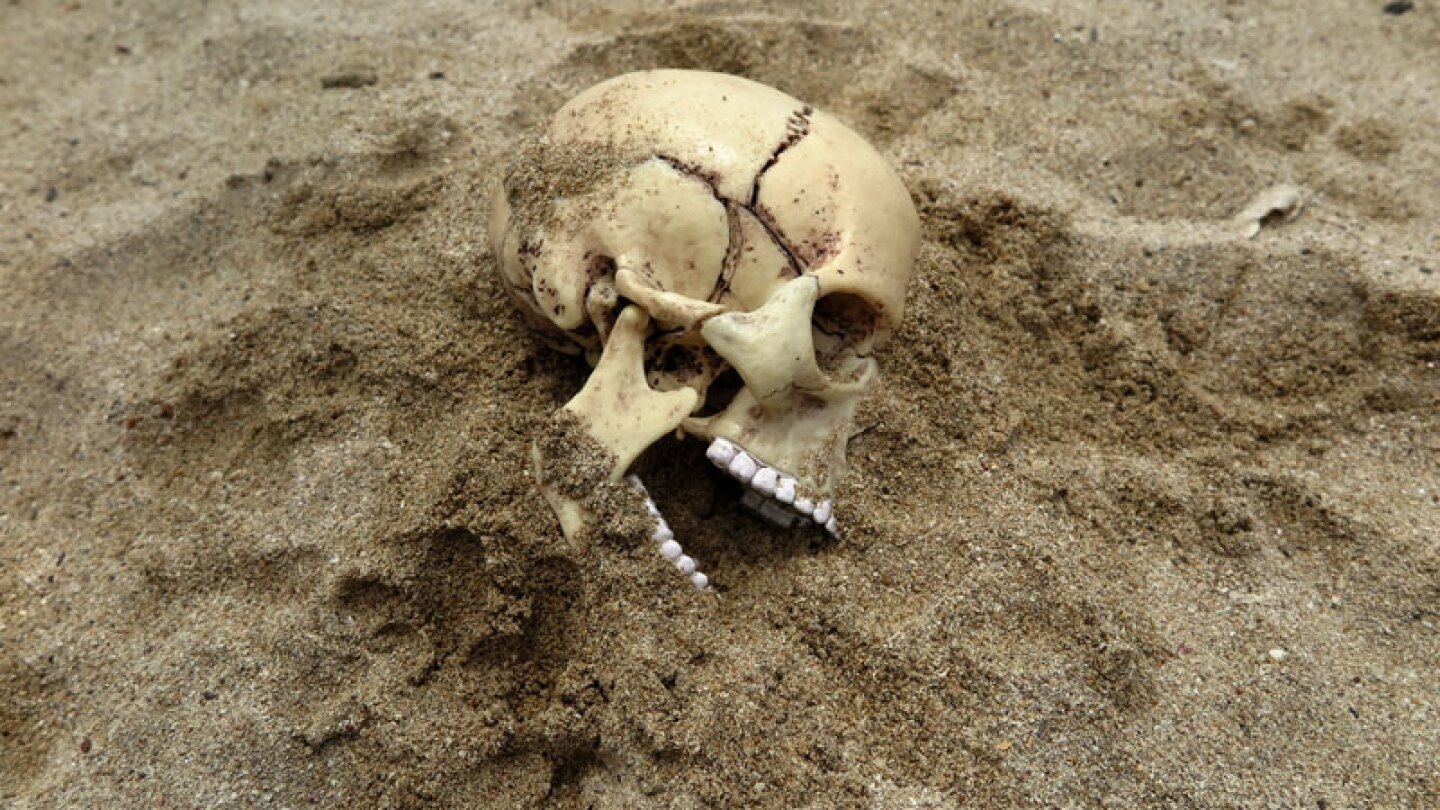 extincionprin.jpg