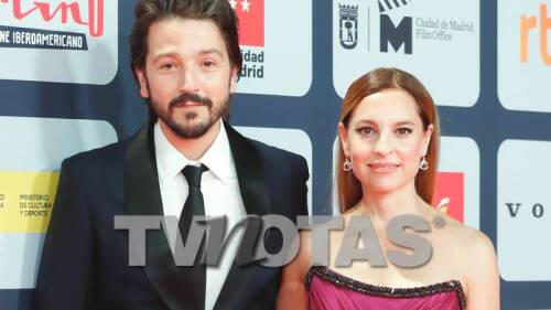 Diego Luna y Marina de Tavira boda