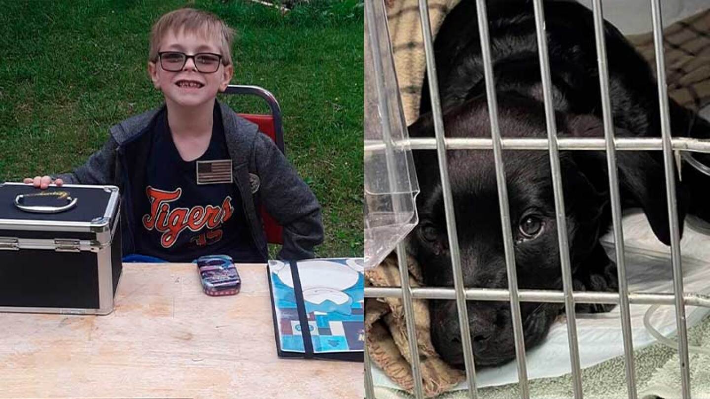 Niño busca salvar a su perrito