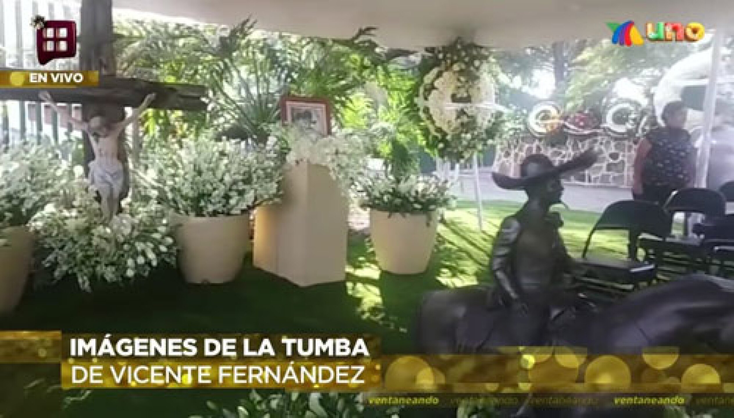 vicente fernandez tvnotas