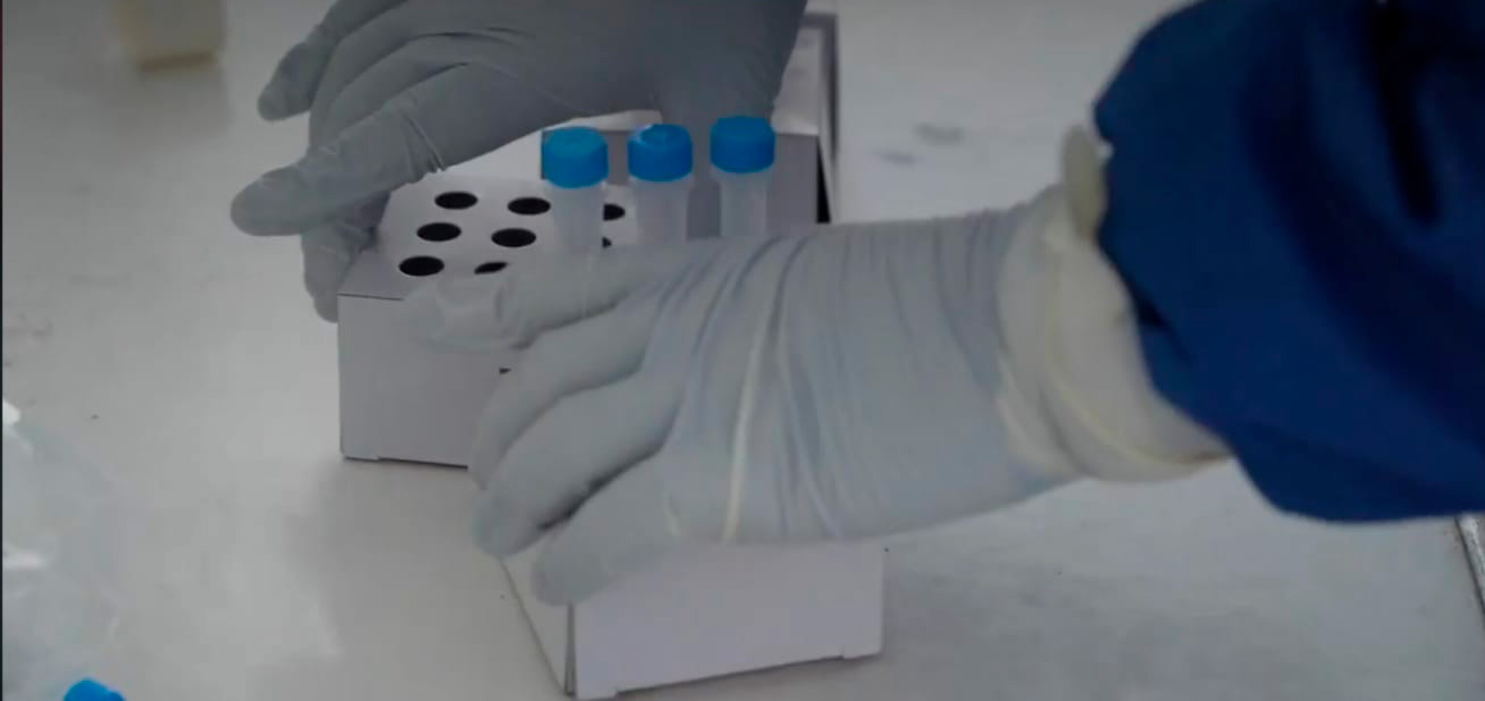 Pruebas Covid-19 Ciudad de México