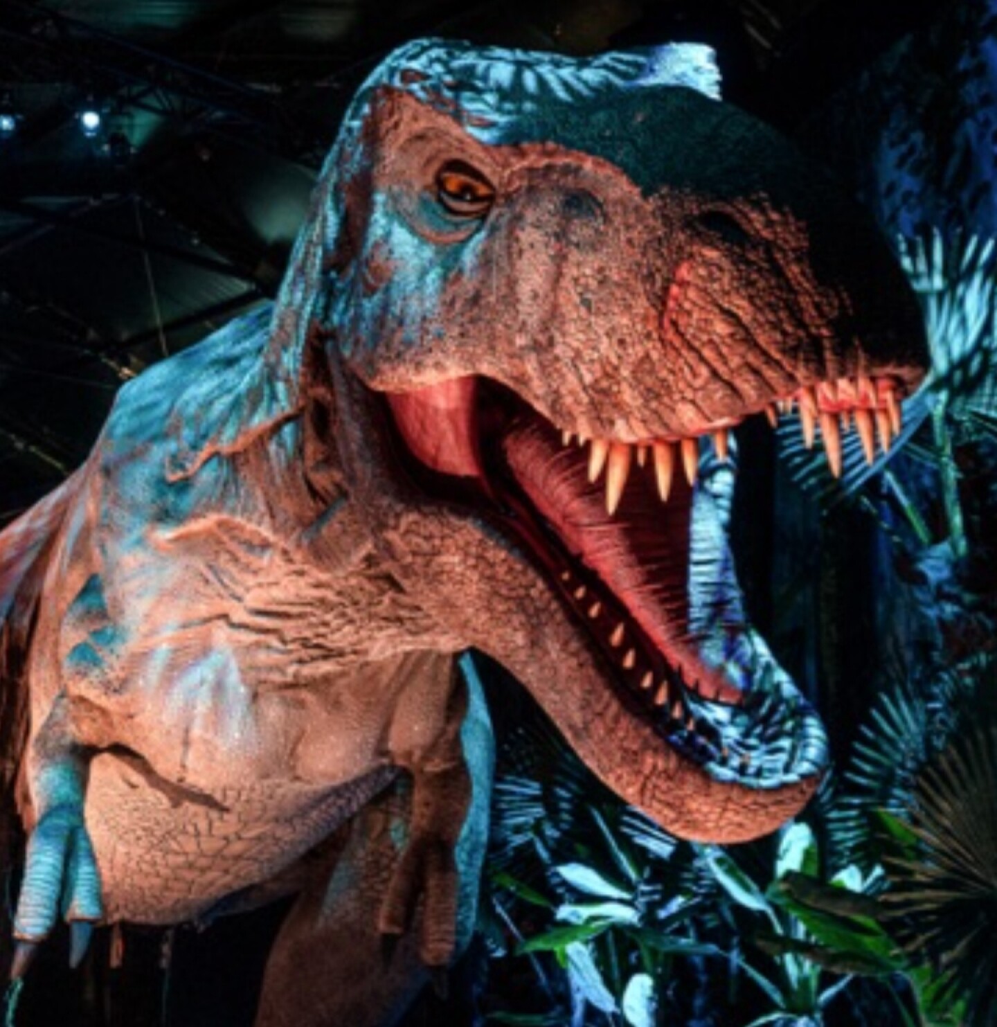 Jurassic World Exhibition, dinosaurio, tiranosaurio rex