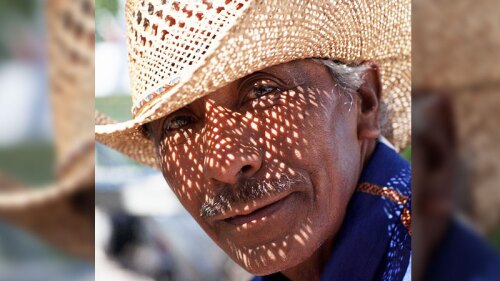 Rostro del mexicano n.