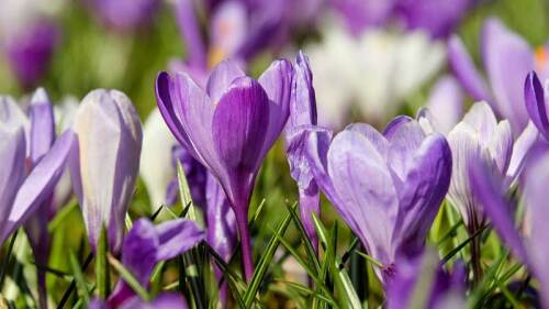 Los niños crecen un poco más