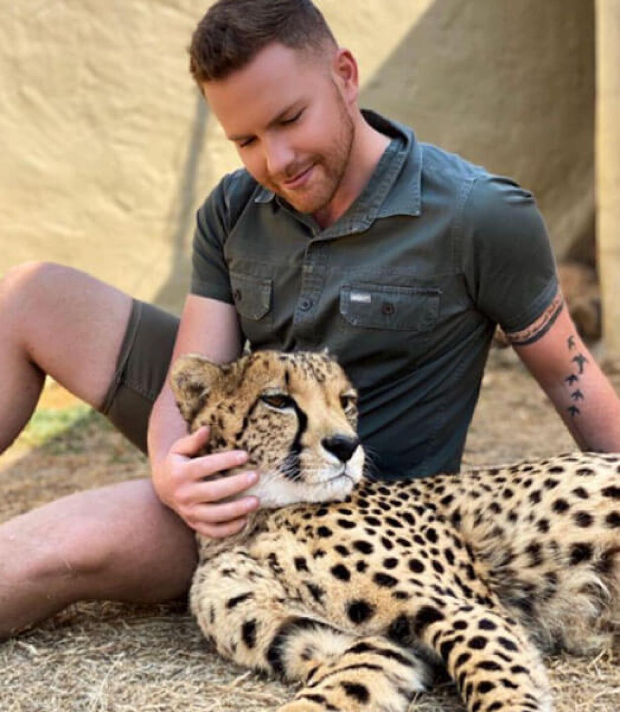 guepardo viraliza tik tok