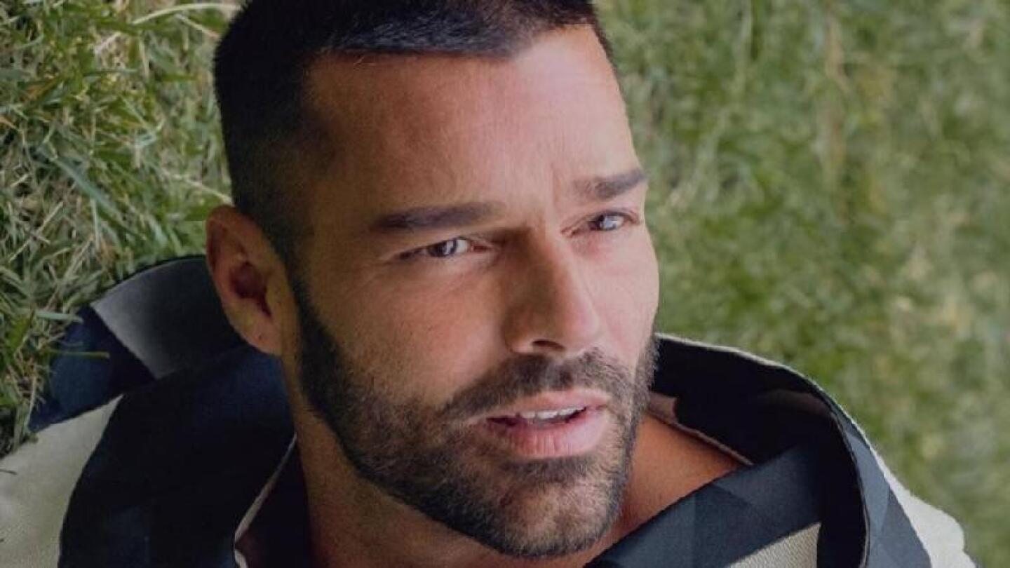 Ricky Martin gana juicio contra su sobrino: juez desestimó denuncia por acosoRicky Martin gana juicio contra su sobrino: juez desestimó denuncia por acoso