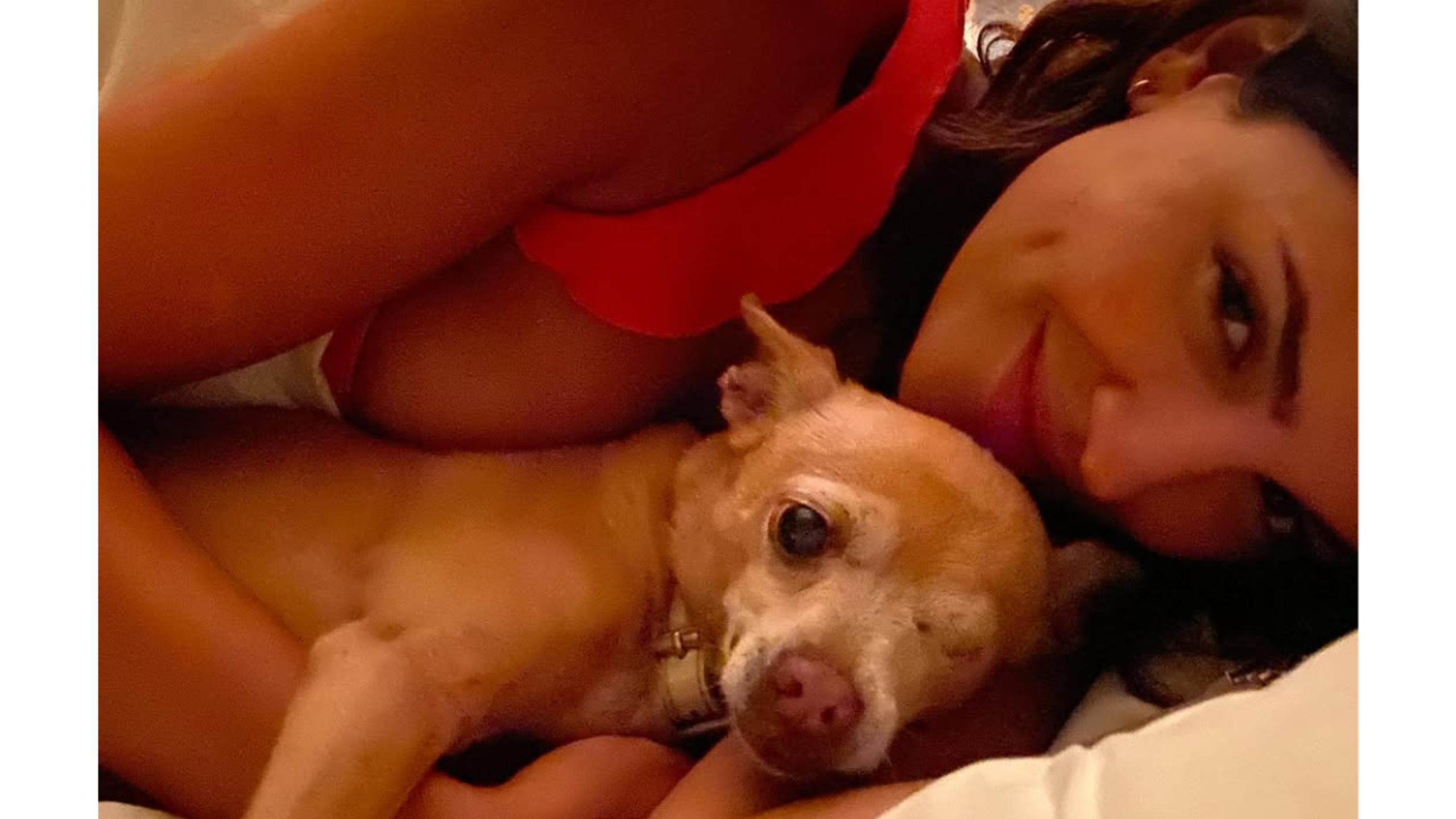 Perrito de Eiza González