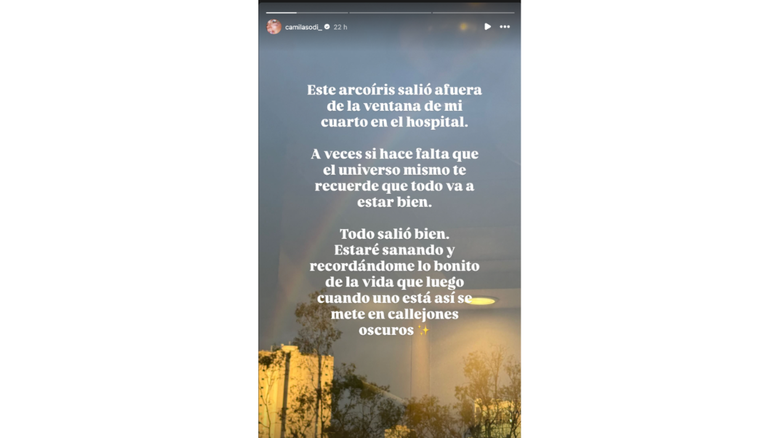 Camila Sodi fue hospitalizada