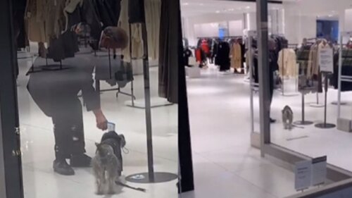 Guarda de seguridad le toma la temperatura.