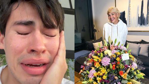 La divaza sufrió un accidente tras la muerte de su mamá