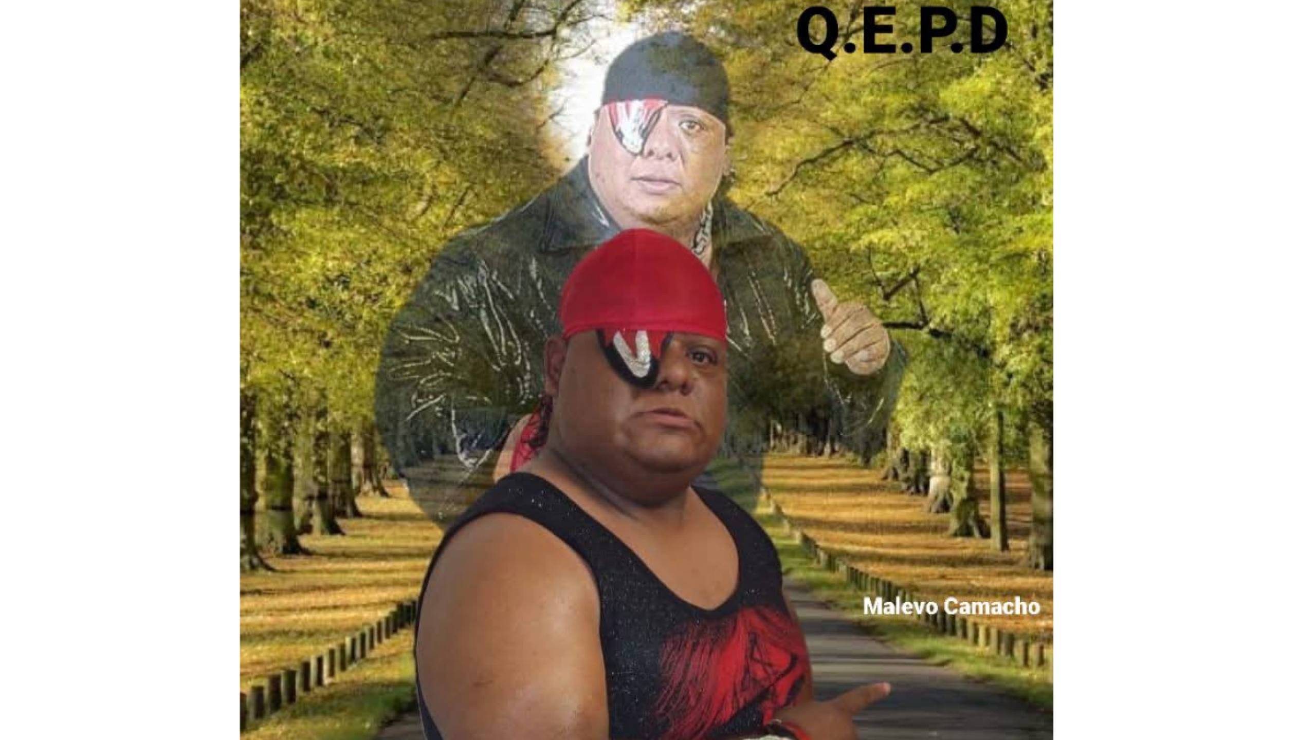 Confirmaron la muerte de Mini piratita Morgan