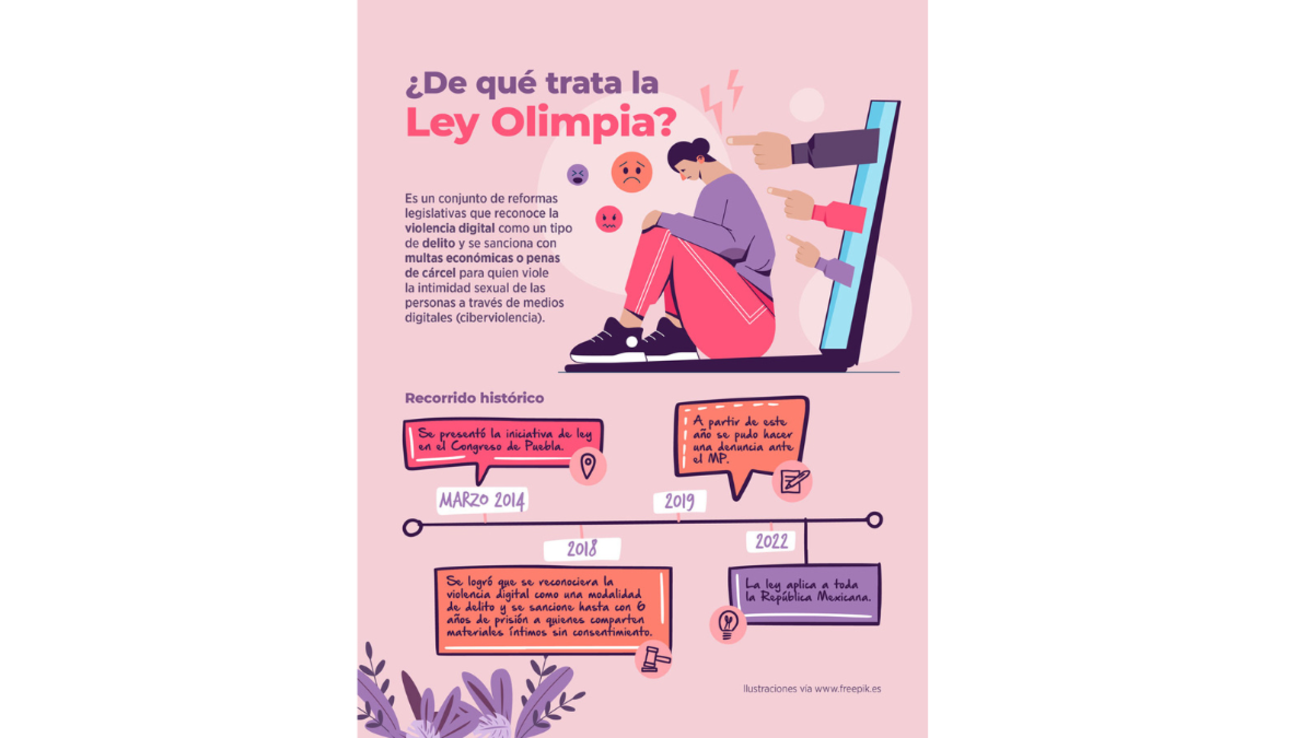 Ley Olimpia,