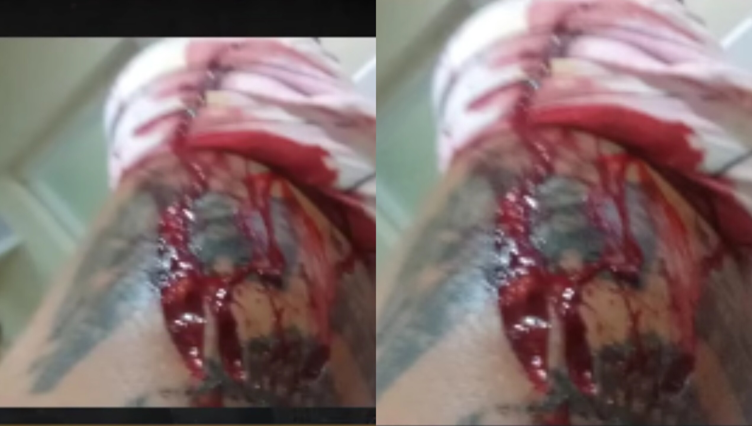 monica-noguera (3).jpg