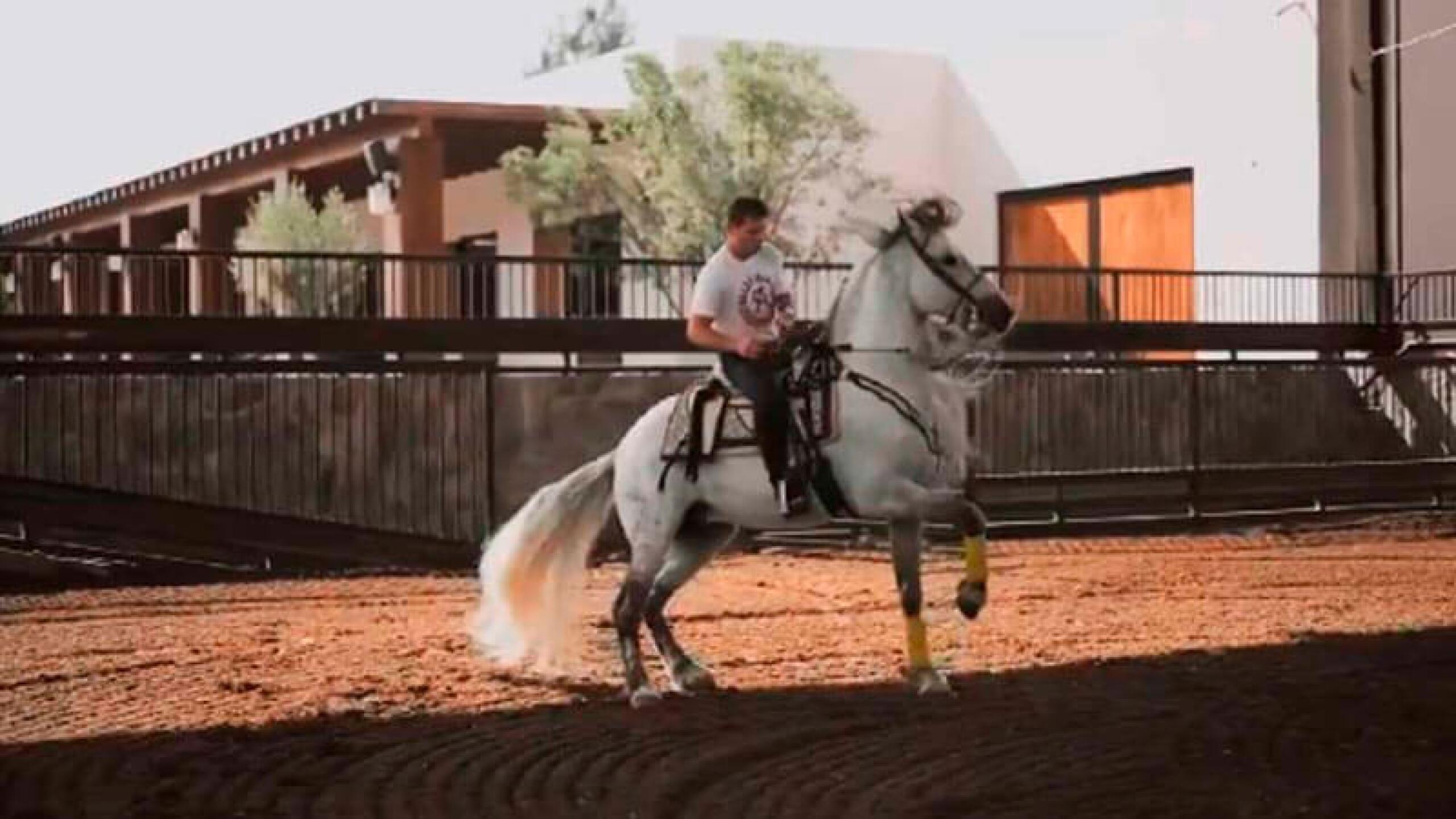 Saúl Canelo Álvarez sorprendió a sus fans