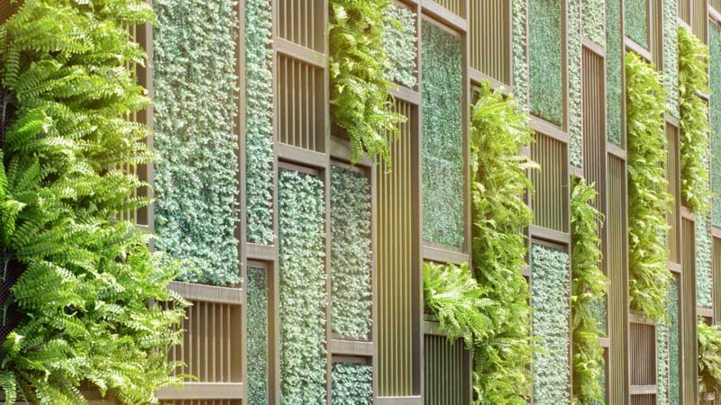 Este proyecto es muy noble con el medio ambiente.