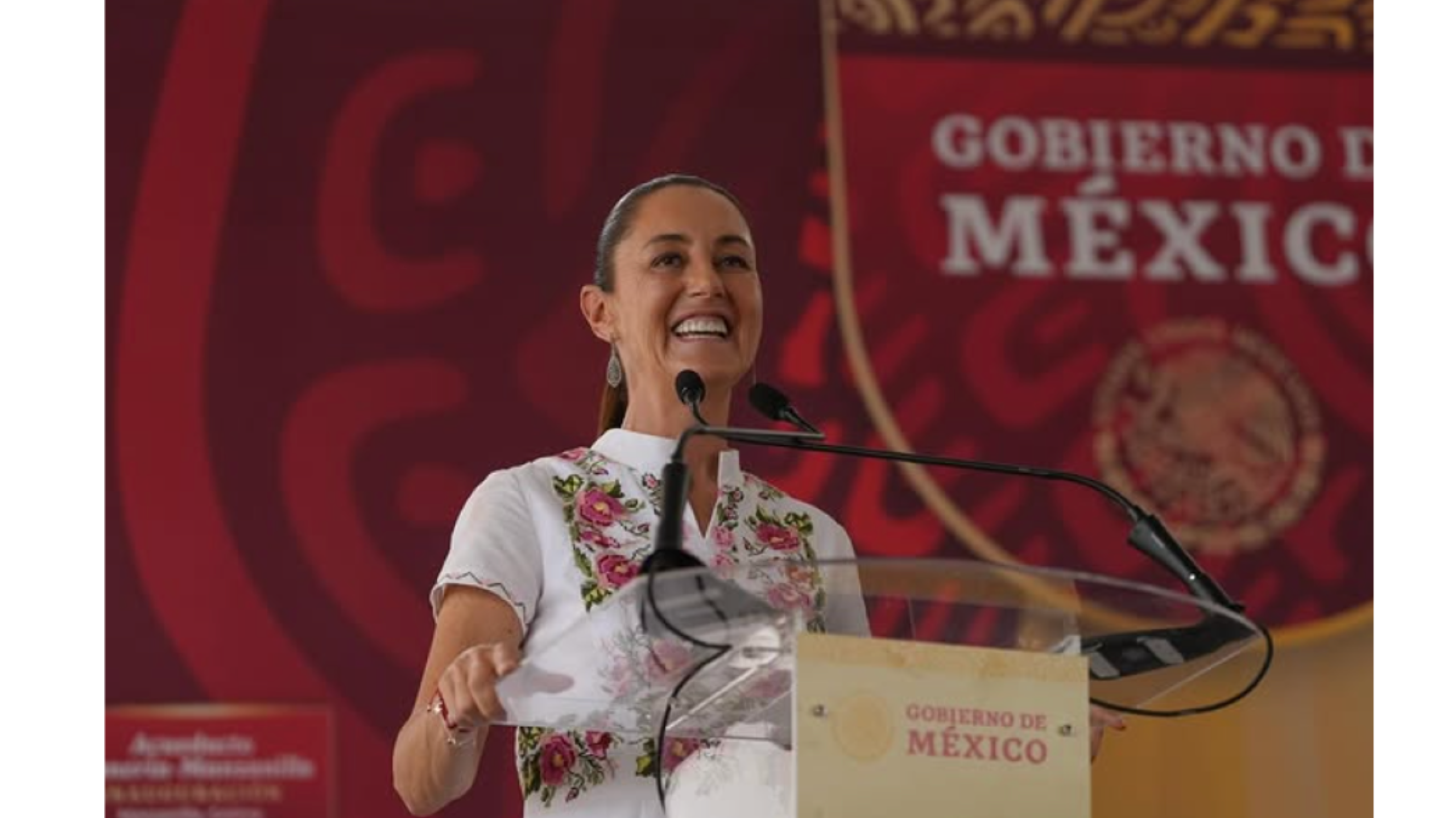 Claudia Sheinbaum, presidenta de México, destaca por su gran elegancia y sencillez.