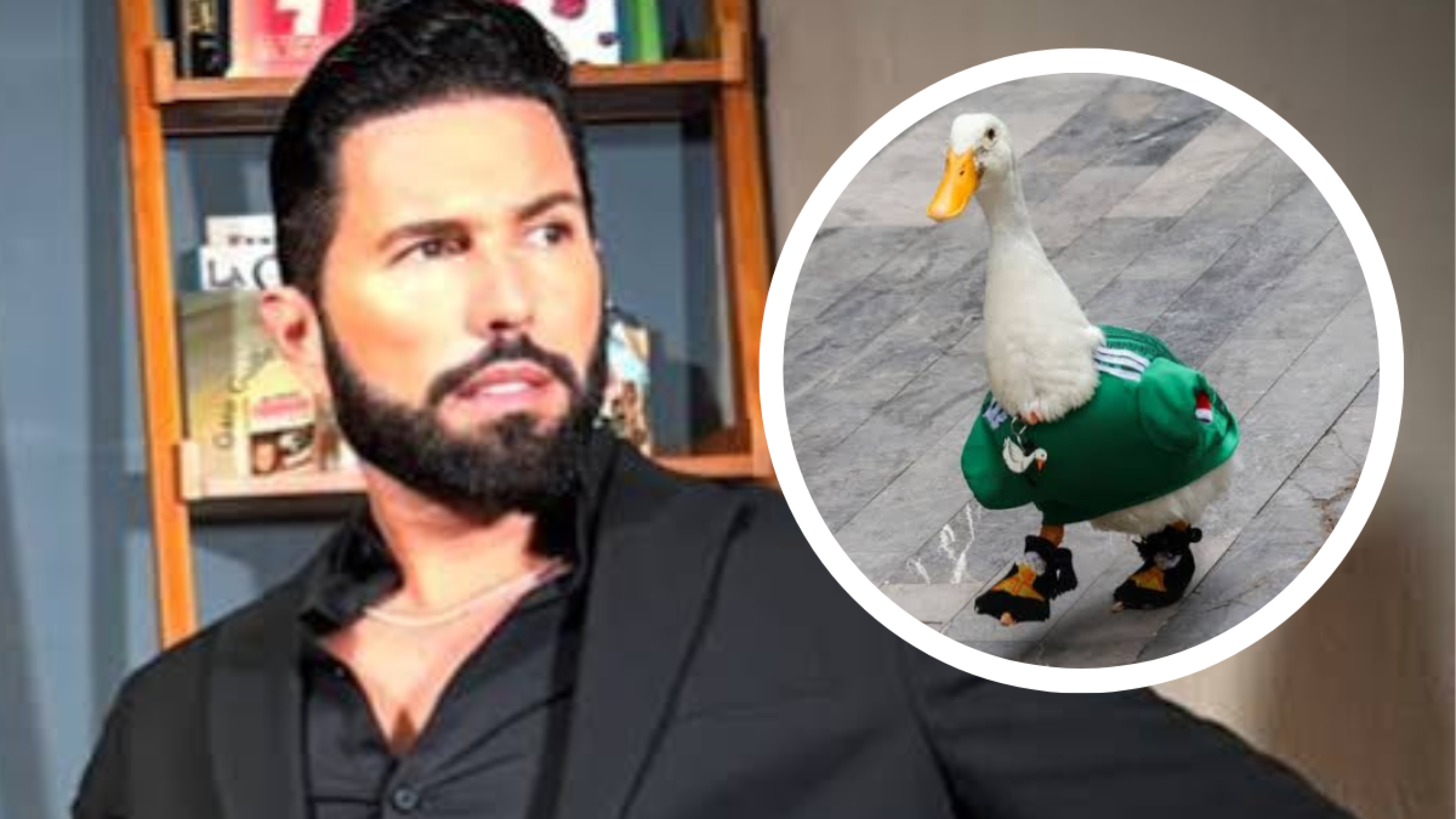 Poncho de Nigris , Pato Merlín
