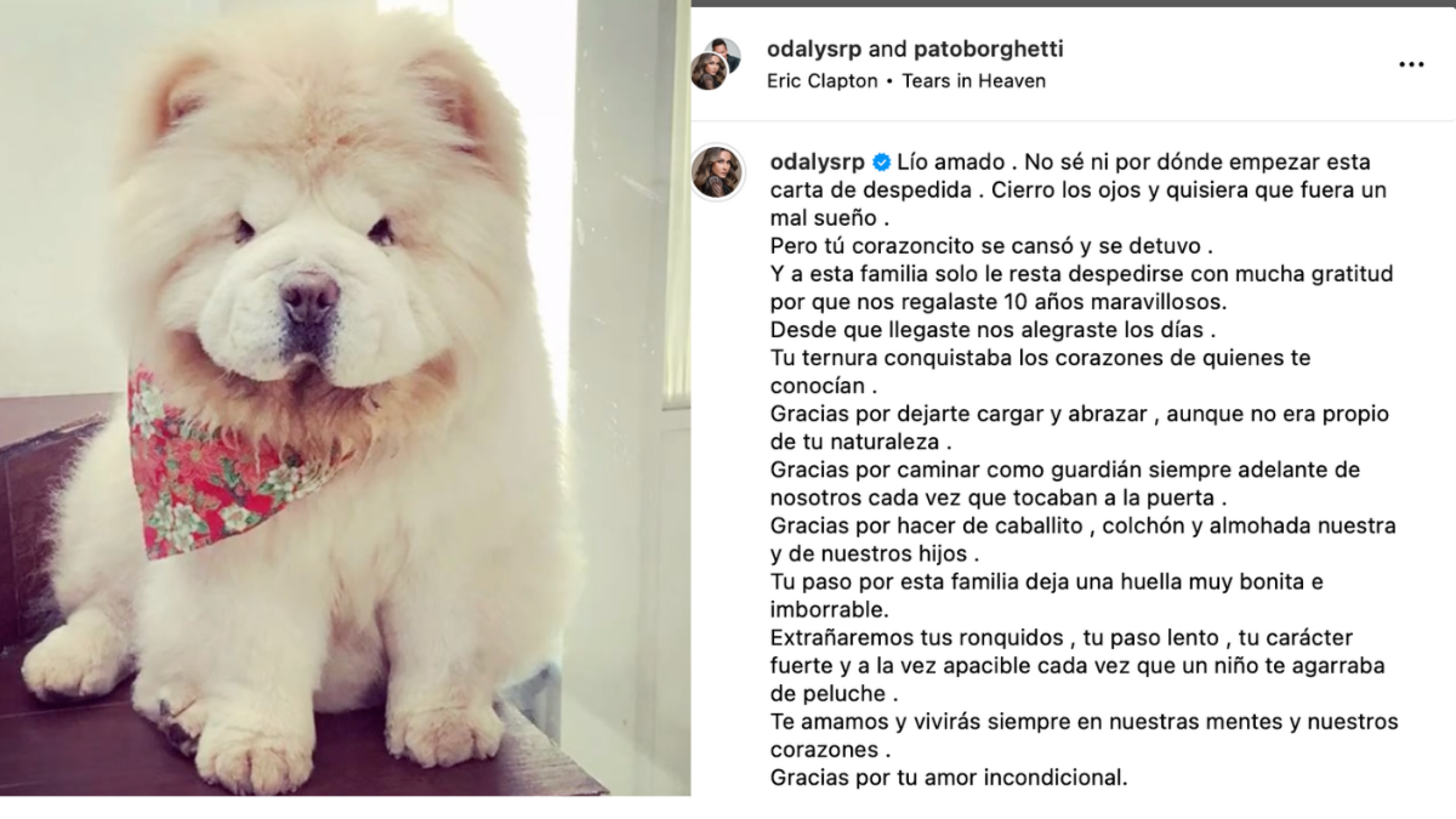 Odalys Ramírez llora muerte de su perrito