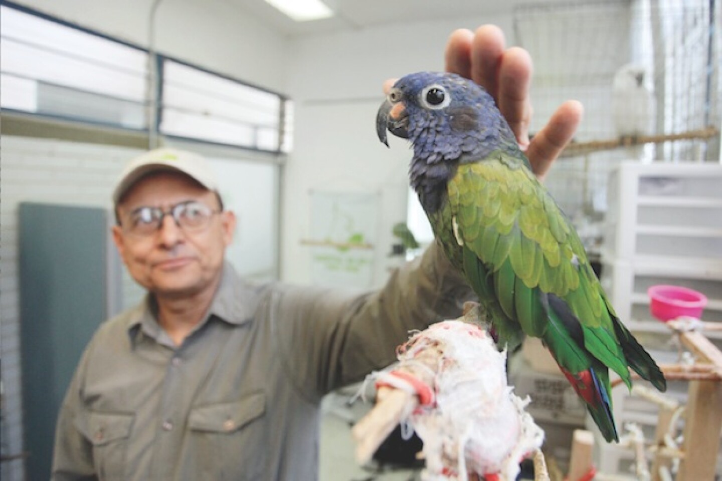 Hospital de las aves