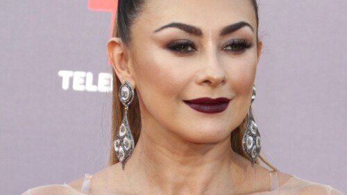 Aracely Arámbula trata de hacerse la sexy en tanga, y la terminan destrozando en redes