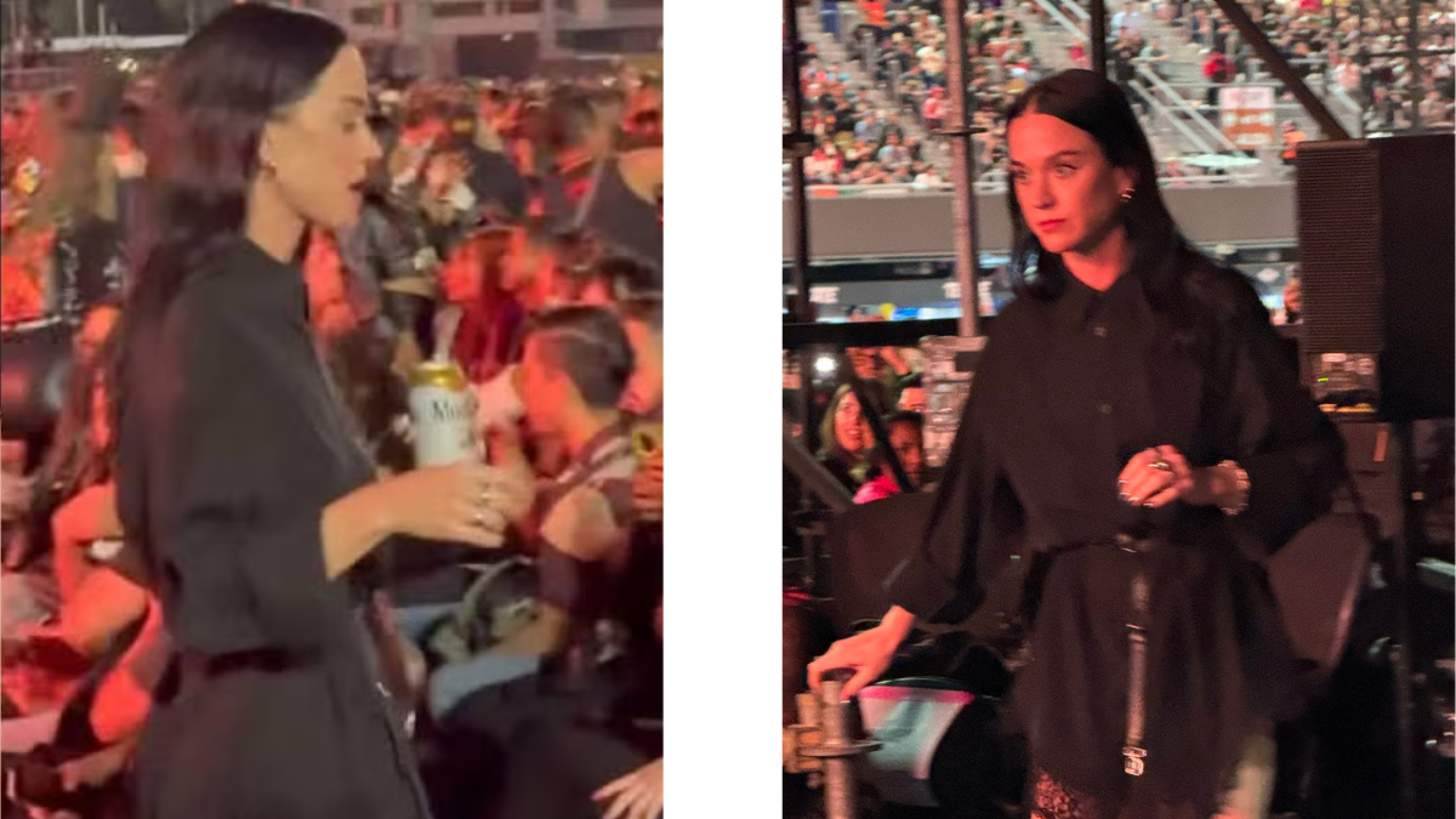 Katy Perry se une a la fiesta y enloquece a las redes