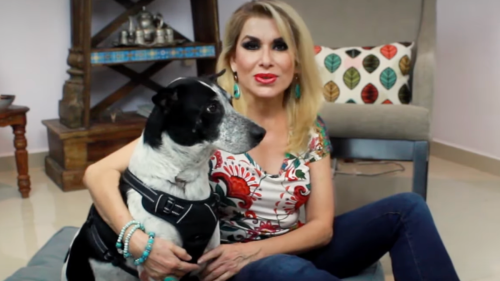Pinto, el perrito de Dulce, la extraña y conmueve a todos en redes