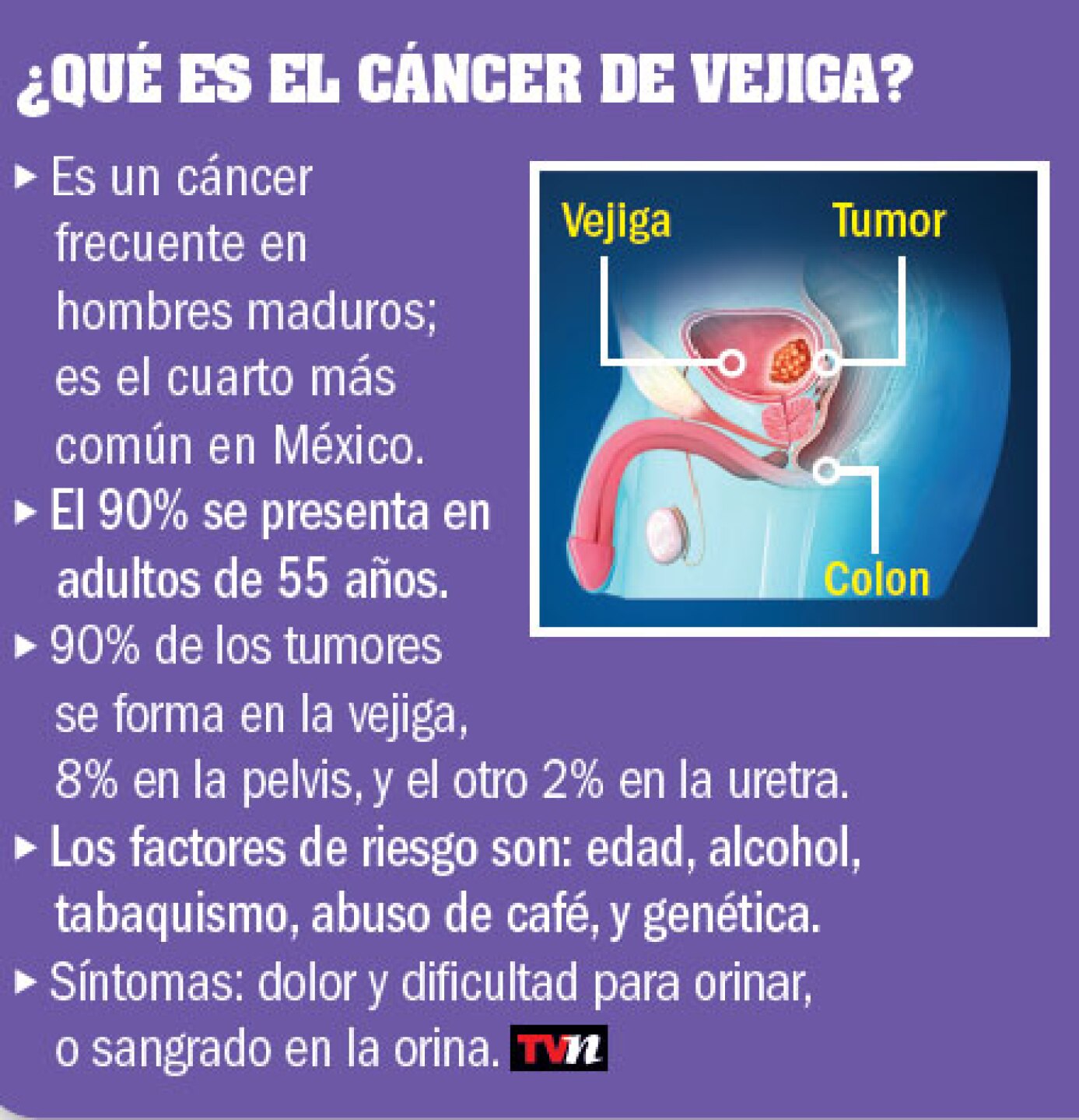 TV NOTAS