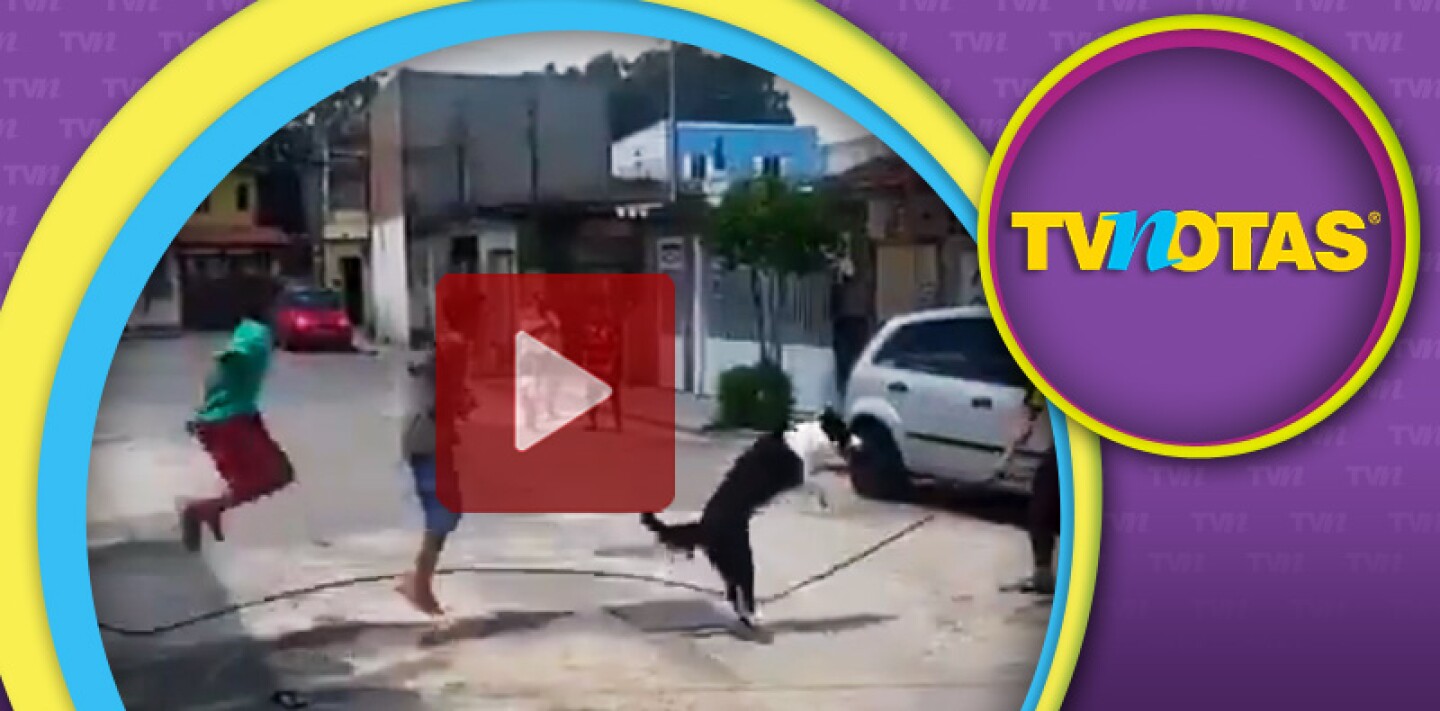 El perro no se cansa de ladrar y saltar la cuerda.