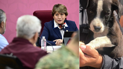 Delfina Gómez, rescate de animales en el Estado de México, PORTADA