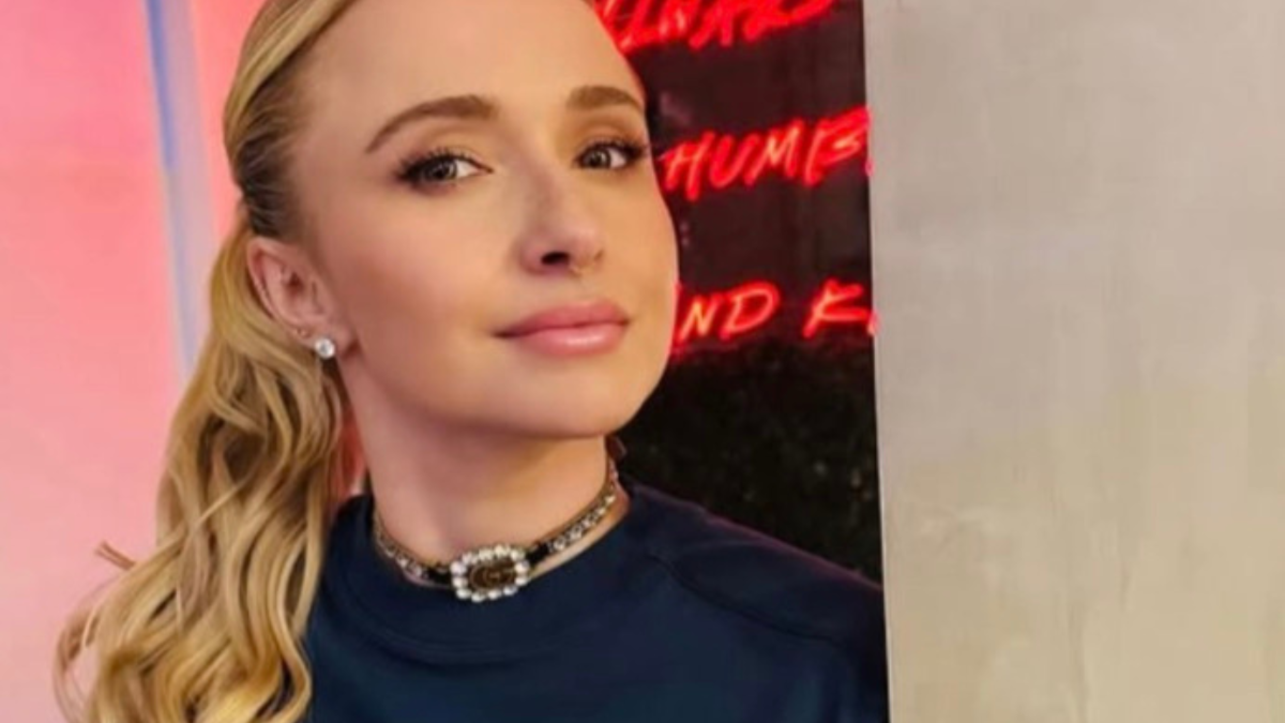Hayden Panettiere ha participado en varías películas y series.