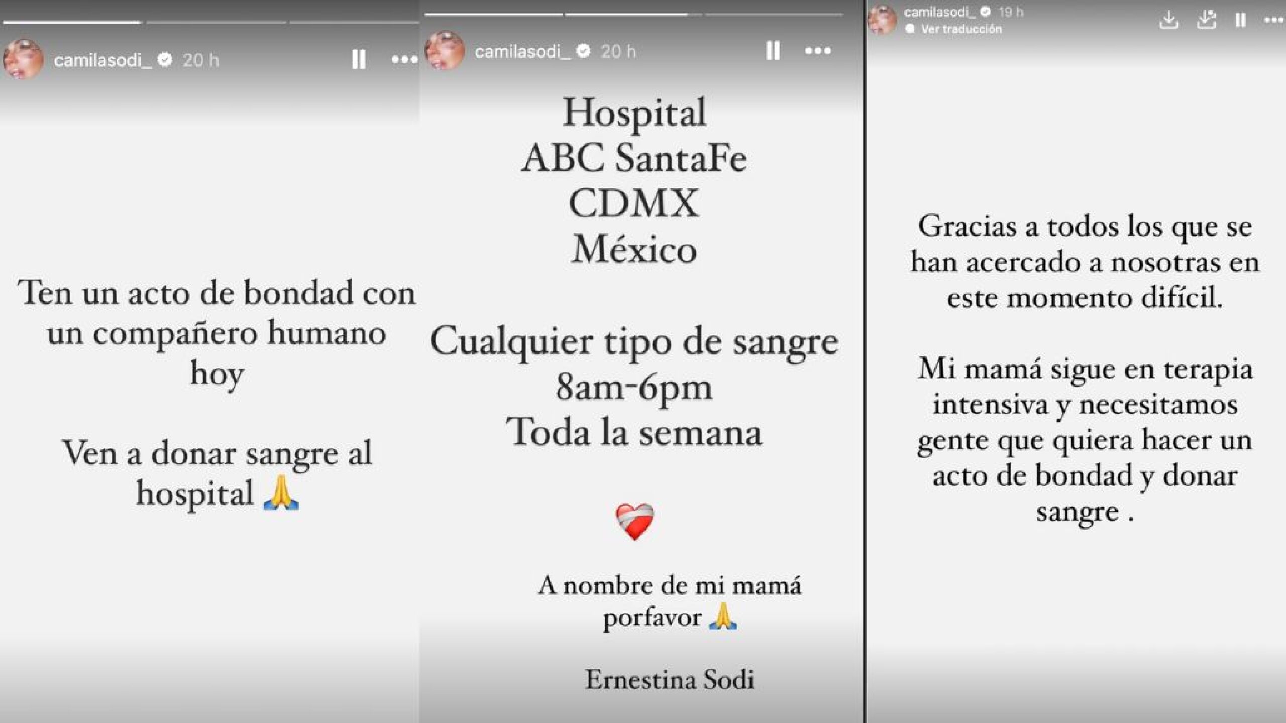 Camila Sodi, Ernestina Sodi