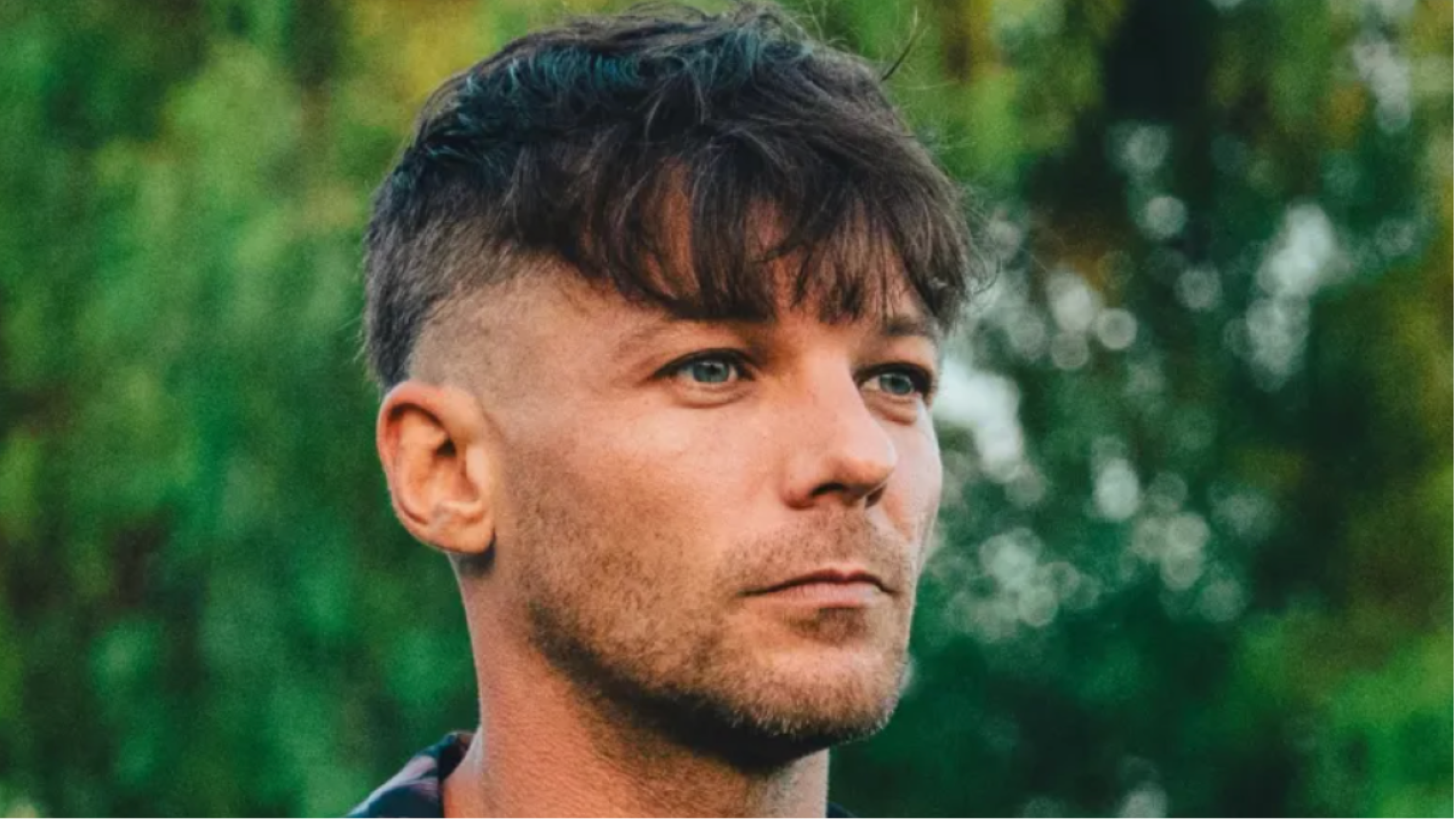 Louis Tomlinson, ex de One Direction