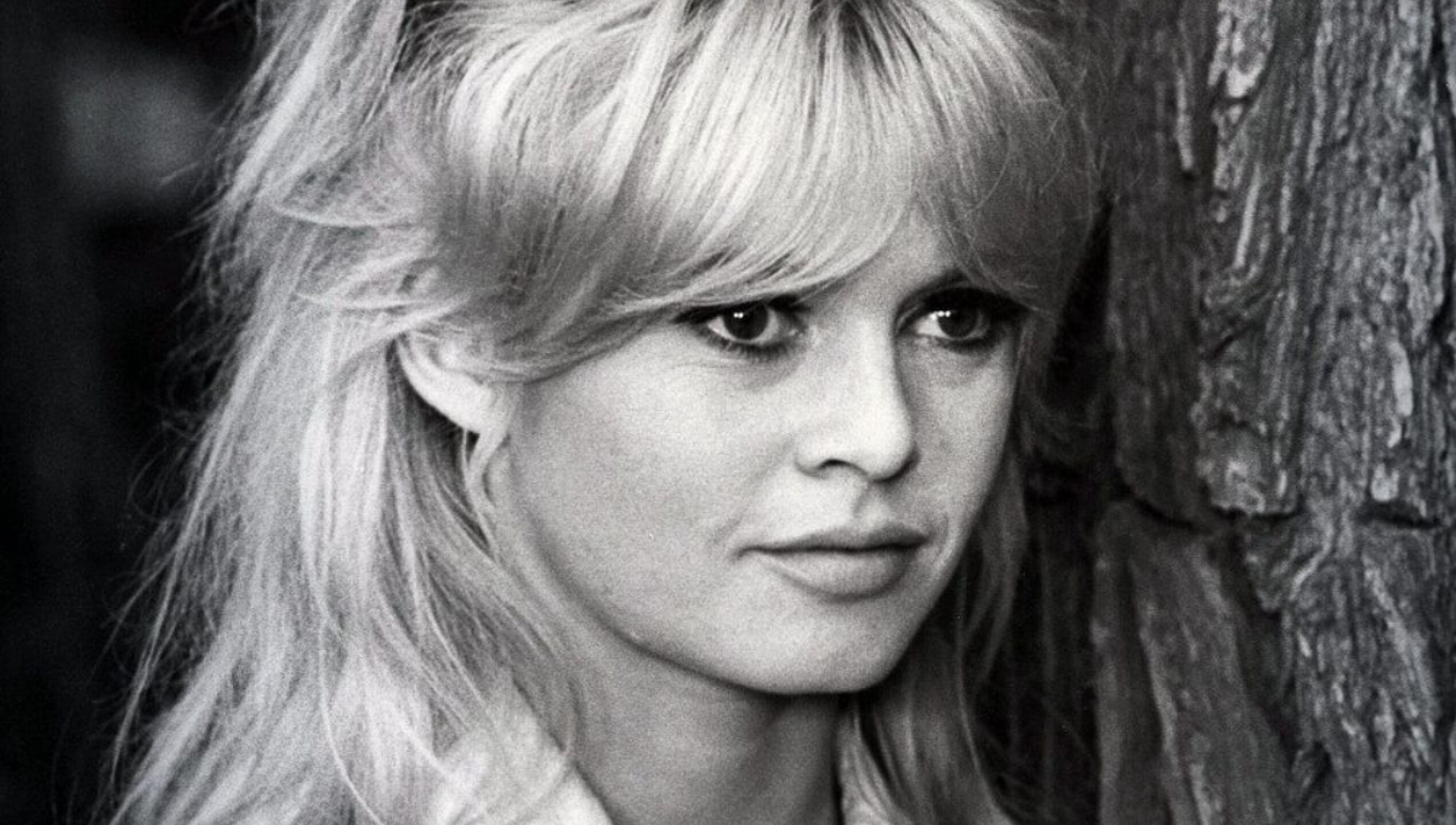 brigitte-bardot-funeral (3).jpg