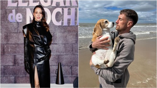 aaron-ramsey-perrita-halo (4).jpg