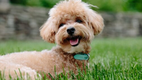 Los hechos ocurrieron en Condado de Southern, San Diego, California