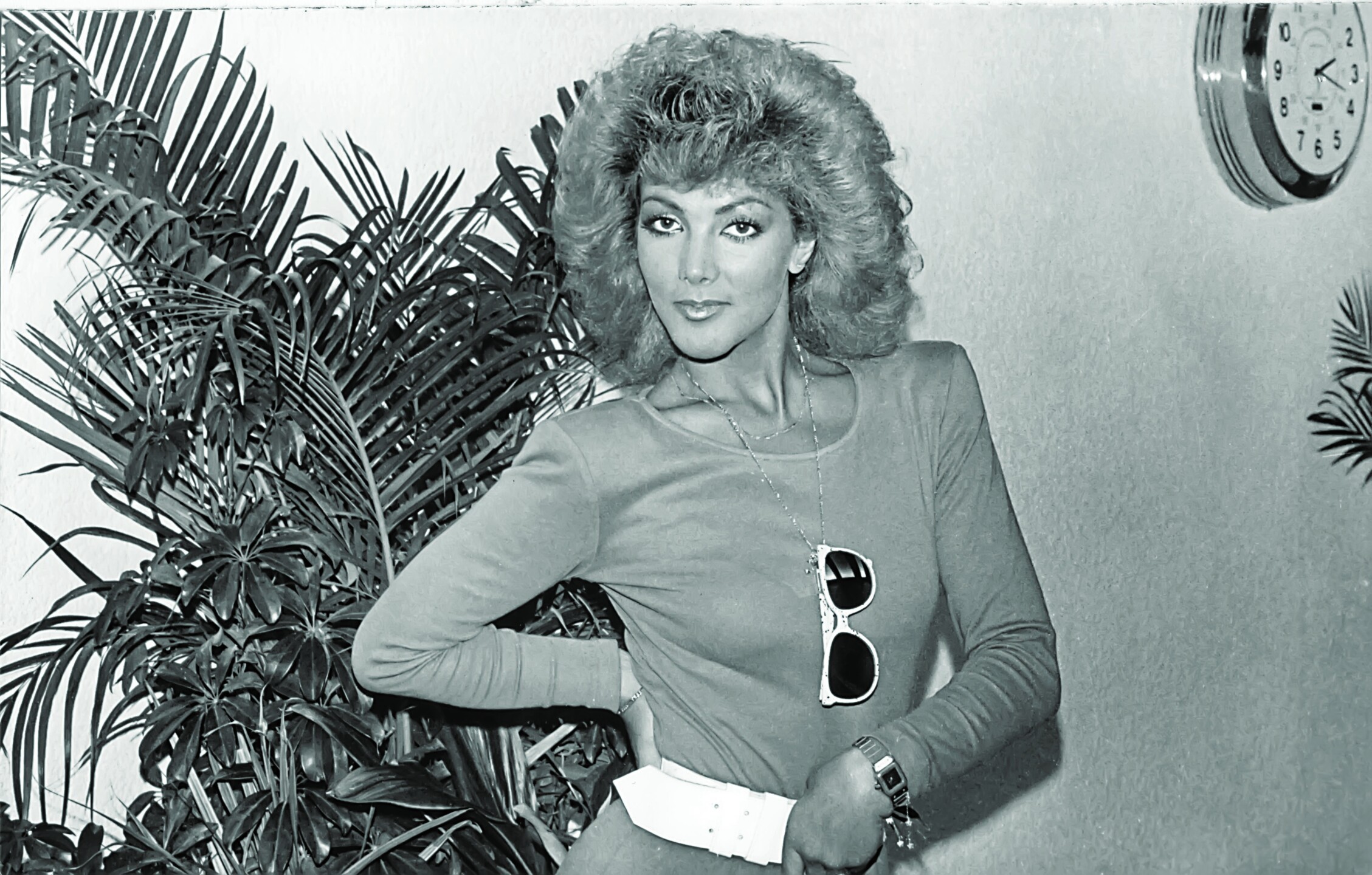 TVNostalgia: Recordando la carrera Olivia Collins