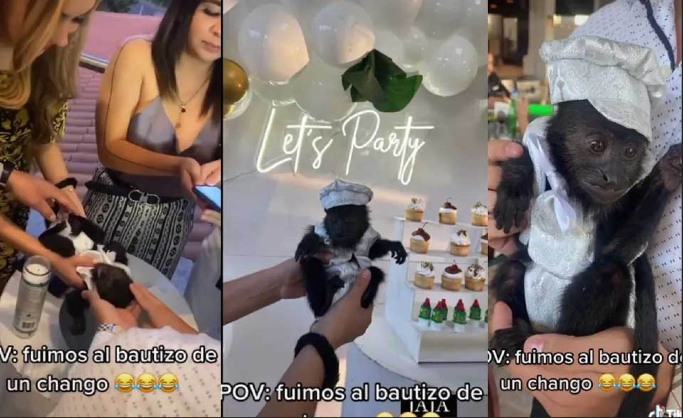 Changuito dividió comentarios