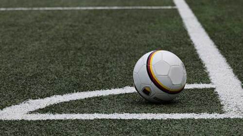 El 'Jarochito' robó el corazón de todos los internautas.