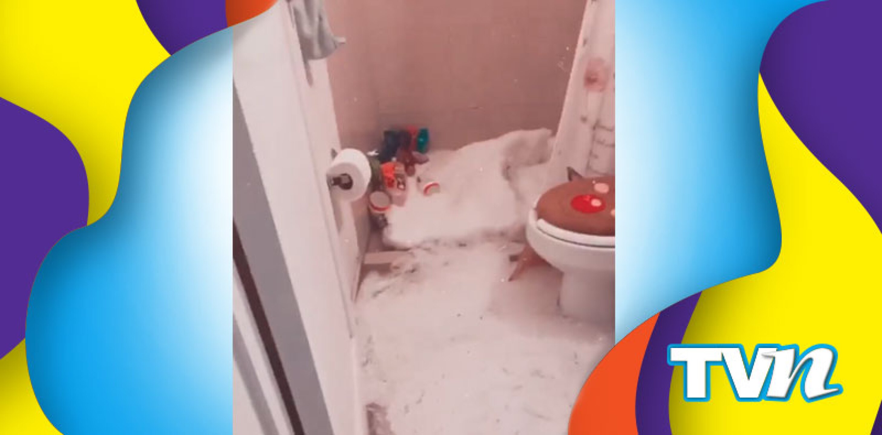 No se explicaba cómo había sucedido.