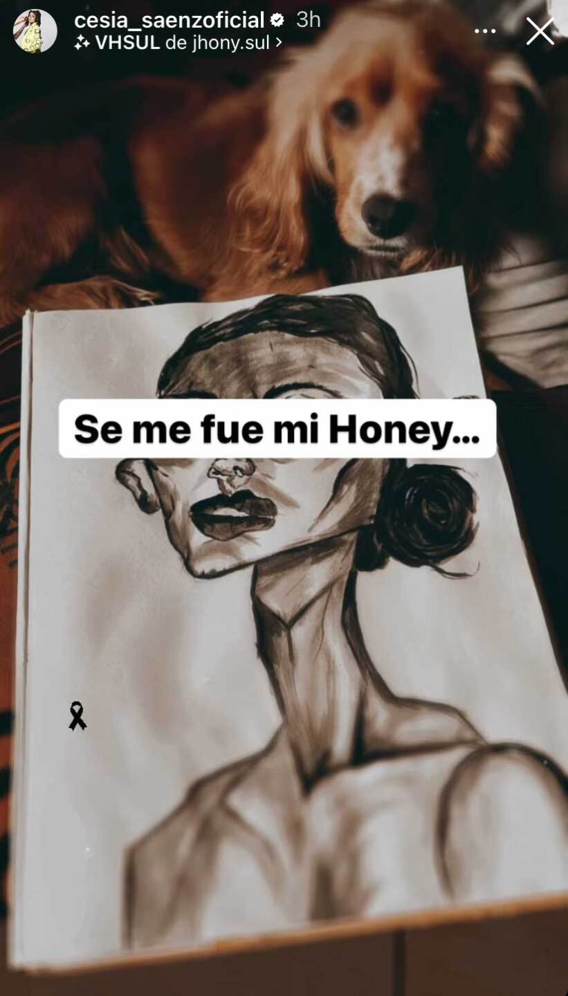 La Academia: Cesia se viste de luto y da el último adiós a su mascota