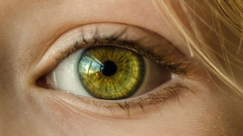 La mujer hasta recibió apoyo del gobierno por su supuesta discapacidad.