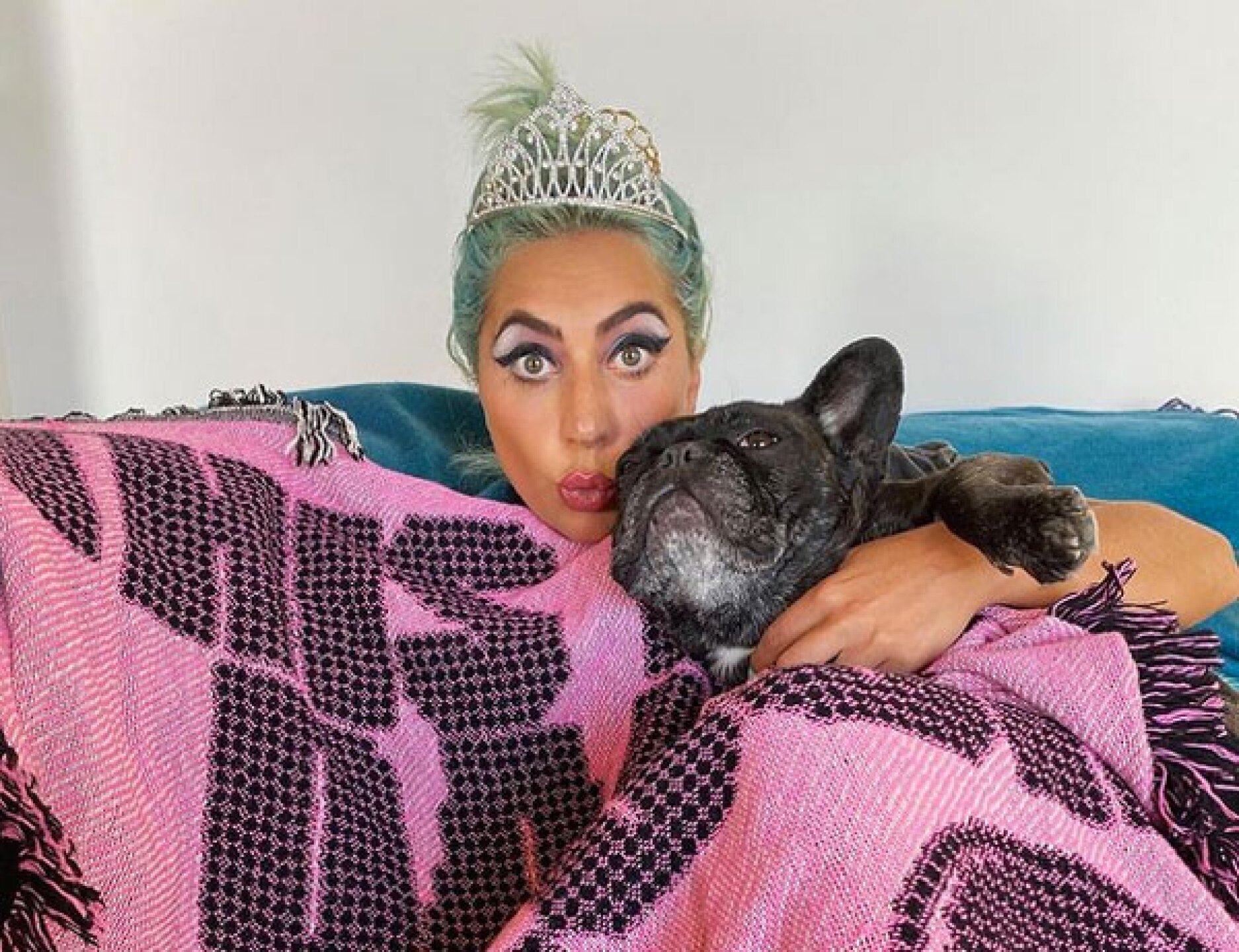 Ratero de las mascotas de Lady Gaga recibe 21 años de prisión