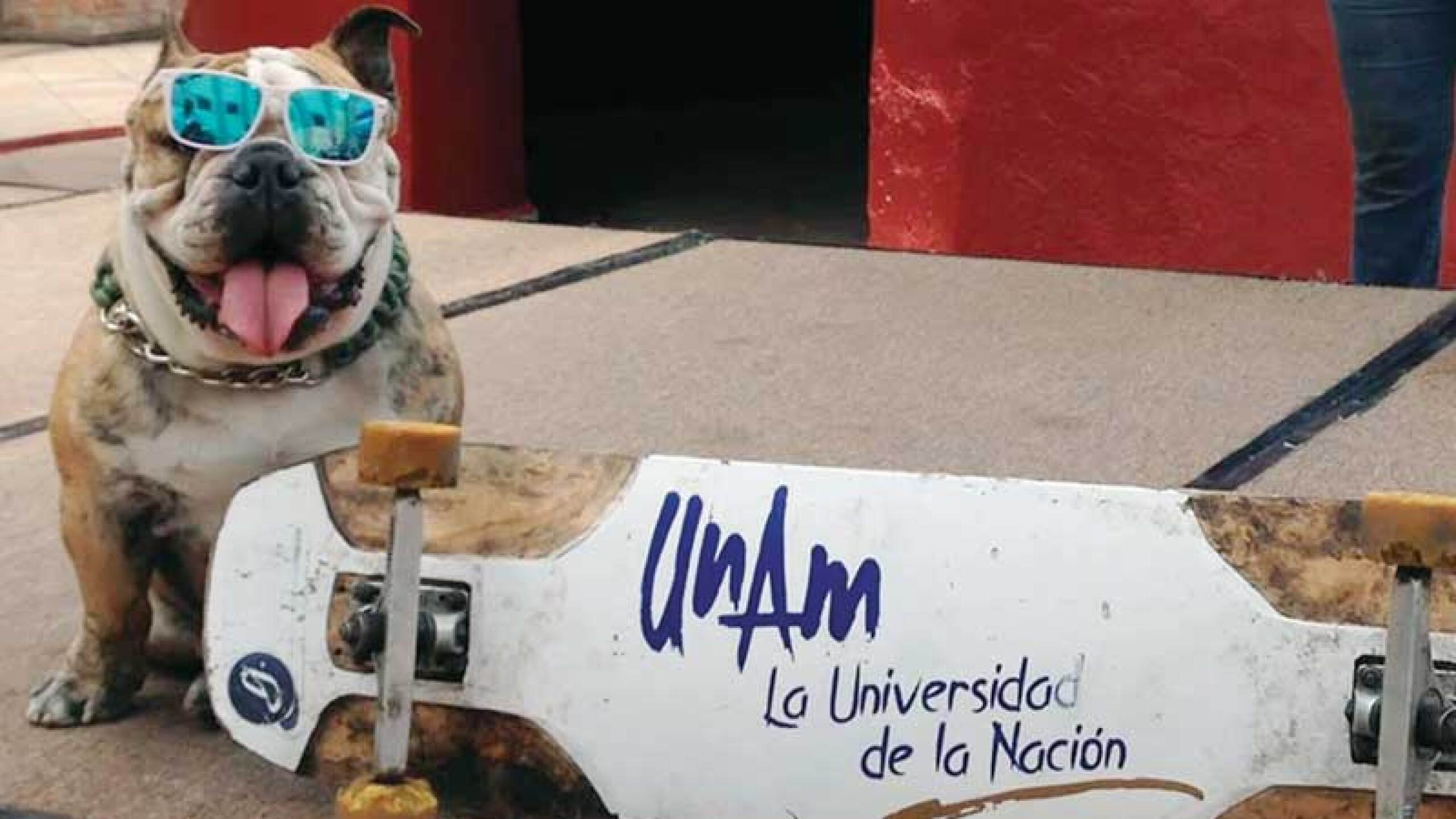 El rostro de Logan cambia arriba de la patineta porque se concentra totalmente y se centra en el desliz.