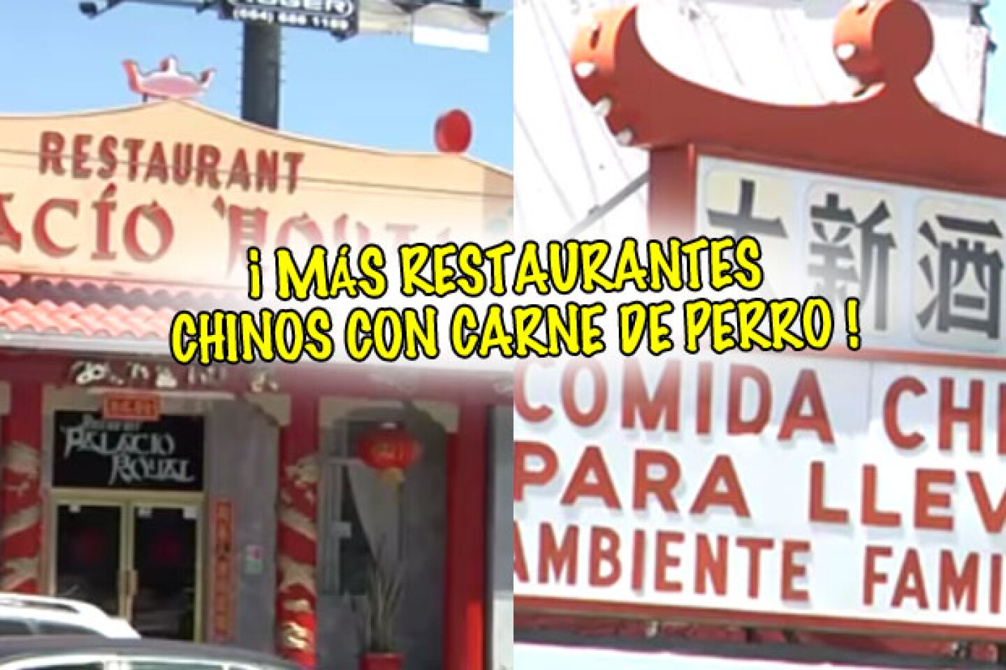 Autoridades revisaron otros locales de comida china y encontraron perros enjaulados.