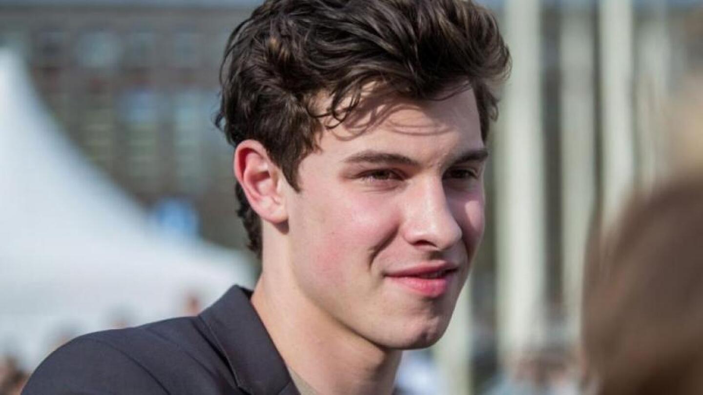 Shawn Mendes podría ser bisexual 